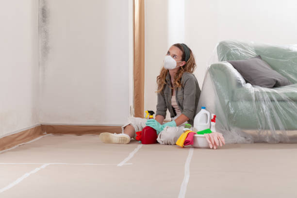 Reliable Attic Mold Removal contractor in Portsmouth, VA by WQB Mold Removal