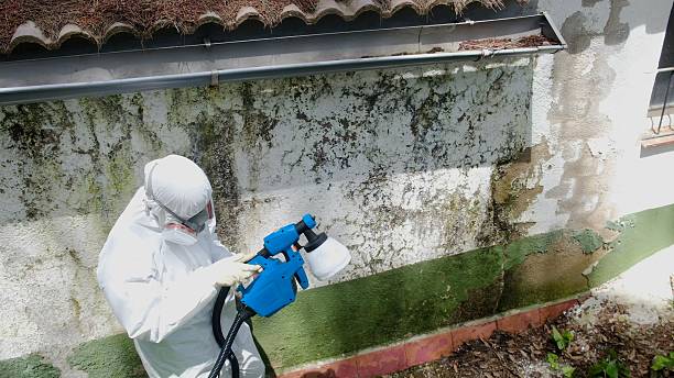 Top rated local Attic Mold Removal specialists in Portsmouth, VA
